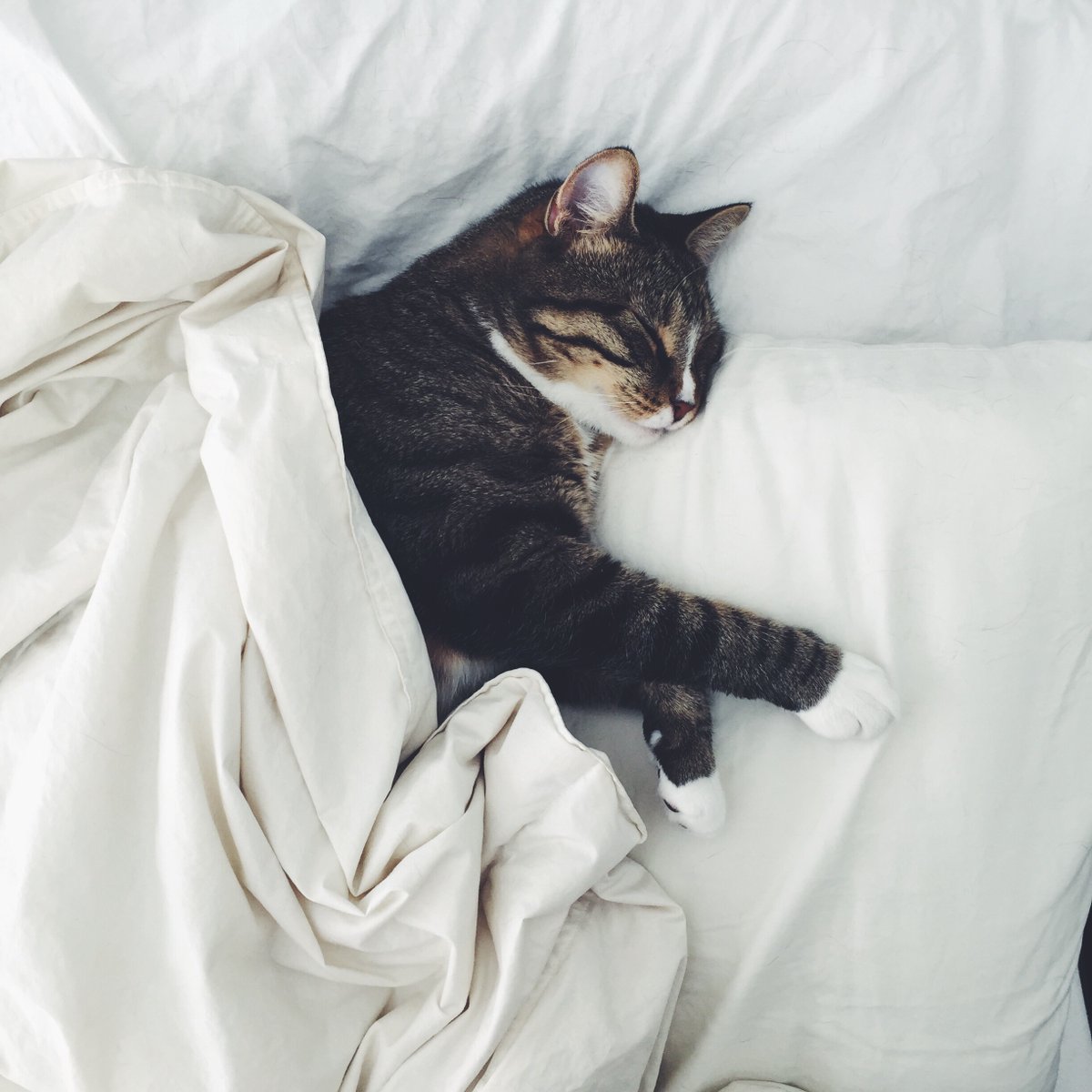 ARE YOU GETTING ENOUGH SLEEP?

Making sure you're getting enough sleep is very important, as the right amount of sleep contributes to:
 -Reducing stress!
  -Staying healthy!
Source: ow.ly/Bq3150Gh7Y3

#corevue #monday #healthcheckservices #newweek #selfcare #tired #stress