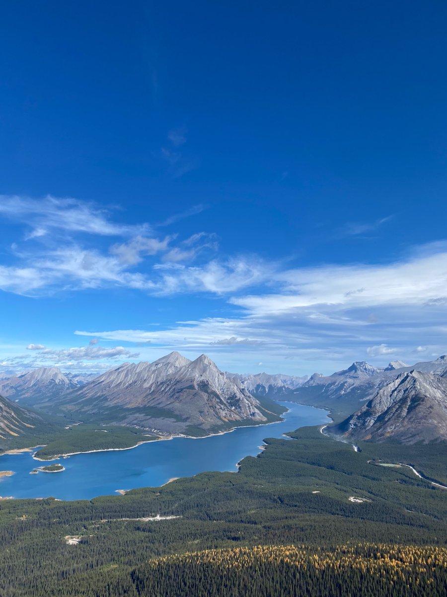 PhoneExperts tweet media