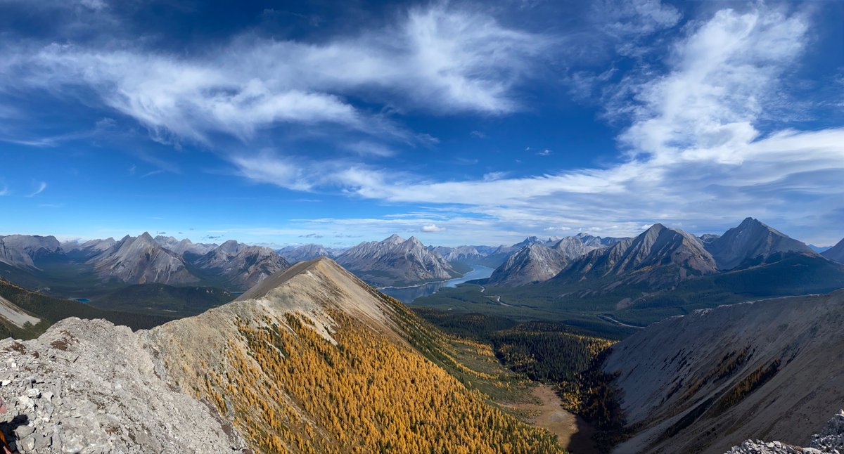 PhoneExperts tweet media