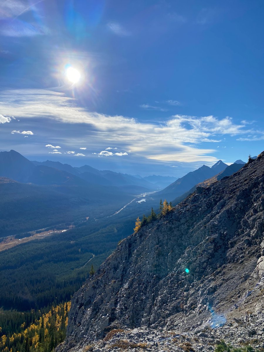 PhoneExperts tweet media