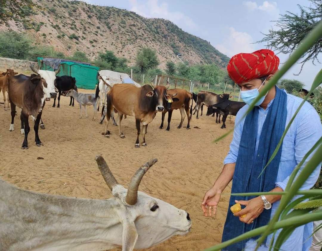 देखो एक नजर से

आज ही की 2 तस्वीर आपके सामने है 
एक ताऊ से राम राम करने की।
और
दूसरी गोशाला में गायों को गुड़ खिलाने की।
अब समझ ये नही आ रहा  गाय से कोरोना होता या ताऊजी से
आप भी अपनी राय बताओ
<a href="/narendramodi/">Narendra Modi</a> 
<a href="/sudhirchaudhary/">Sudhir Chaudhary</a> 
<a href="/DrSatishPoonia/">Satish Poonia</a> 
@bjpjitendra333 
<a href="/zeerajasthan_/">ZEE Rajasthan</a>