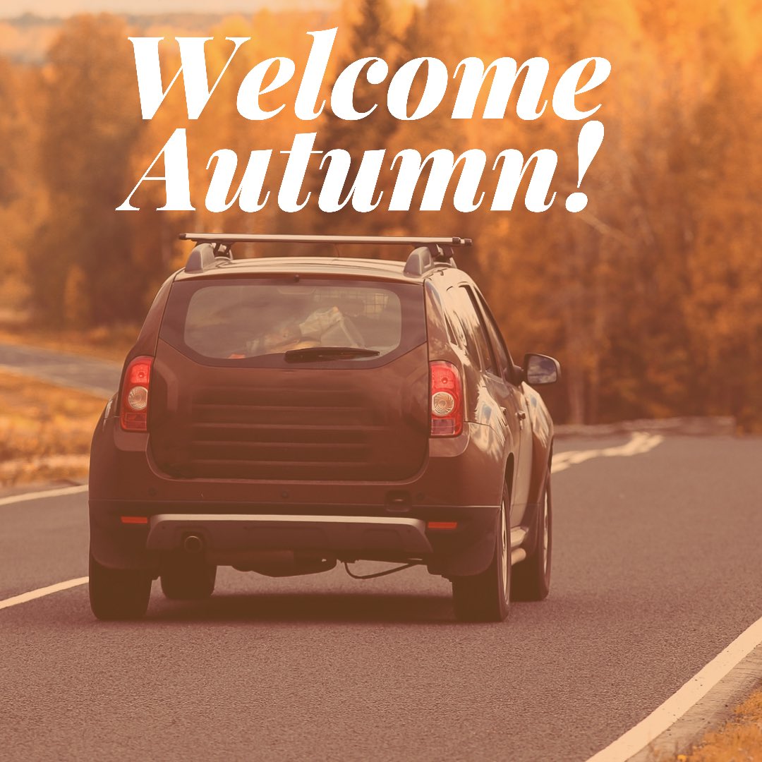 STGAutoGroup's tweet photo. https://t.co/z3nf0rp5PQ