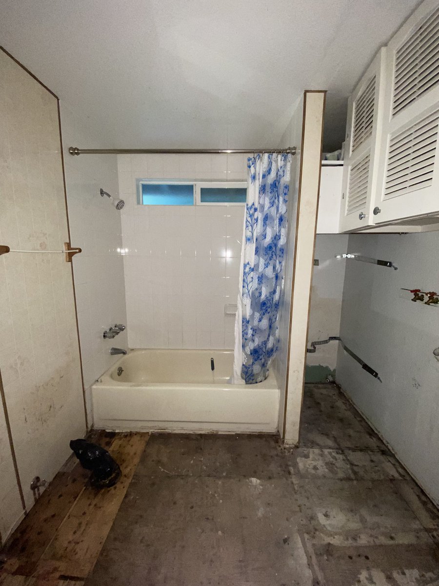 janelchristinew's tweet photo. Finally time to start making progress on our first home. I will cry once this is completed. Itโs been on my wish list for years now. #beforepics https://t.co/boLMUUkT7w