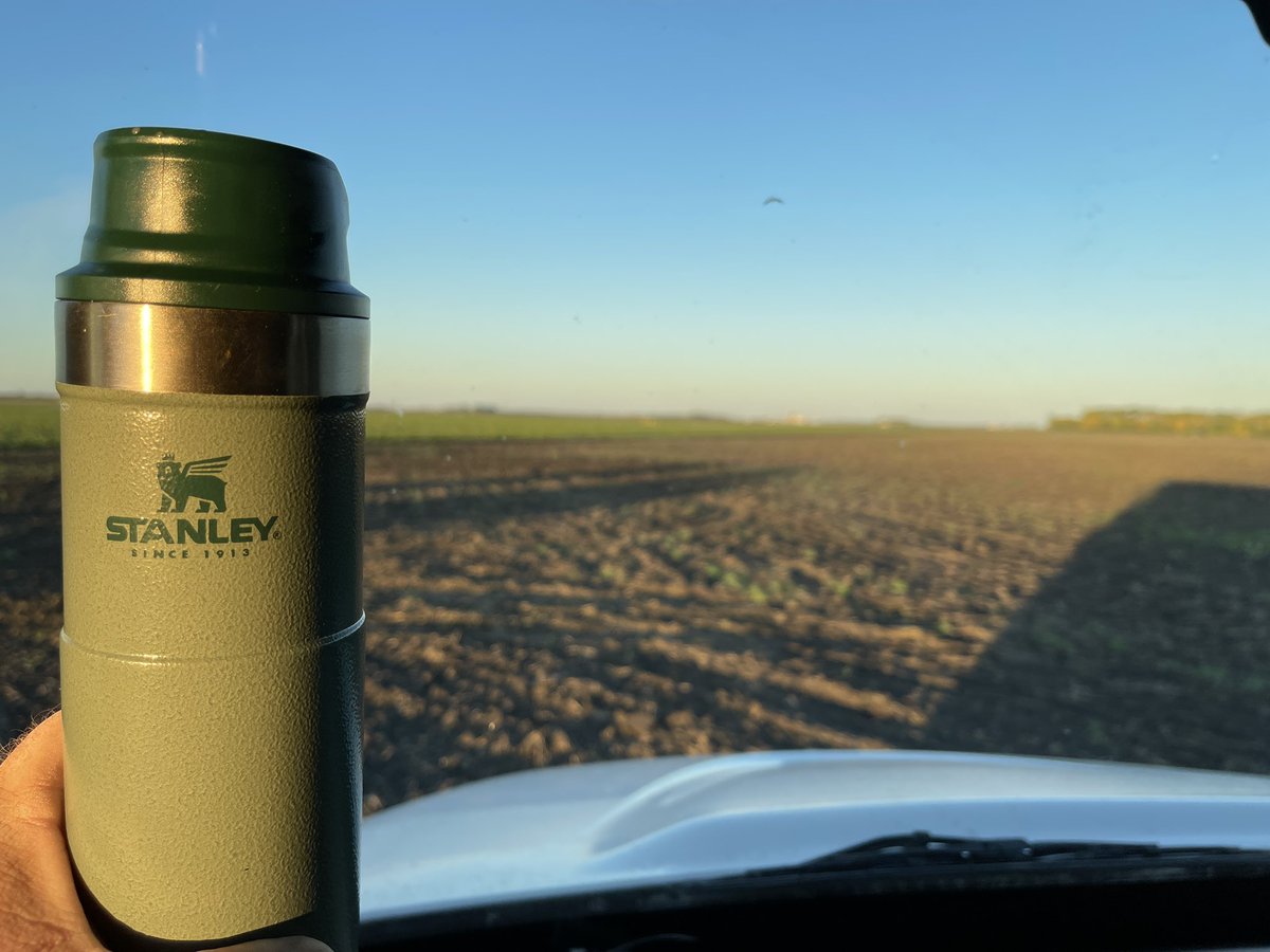 mrberge's tweet photo. @StanleyBrand Nice morning for sugar beets and glad to have hot coffee. @CrystalSugarCo #sugarbeet https://t.co/Ddzt9GP5yQ