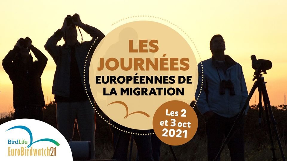 littoralherault's tweet photo. 🔭🦅 L'Association participe à la journée européenne de la migration.
Observation des oiseaux sur la plateforme des Tellines aux #orpellieres à partir de 8h le 3 octobre 2021.
➡️Renseignements au 07.68.98.49.34
#eurobirdwatch #birdprotect https://t.co/ZSlBmPvIdO
