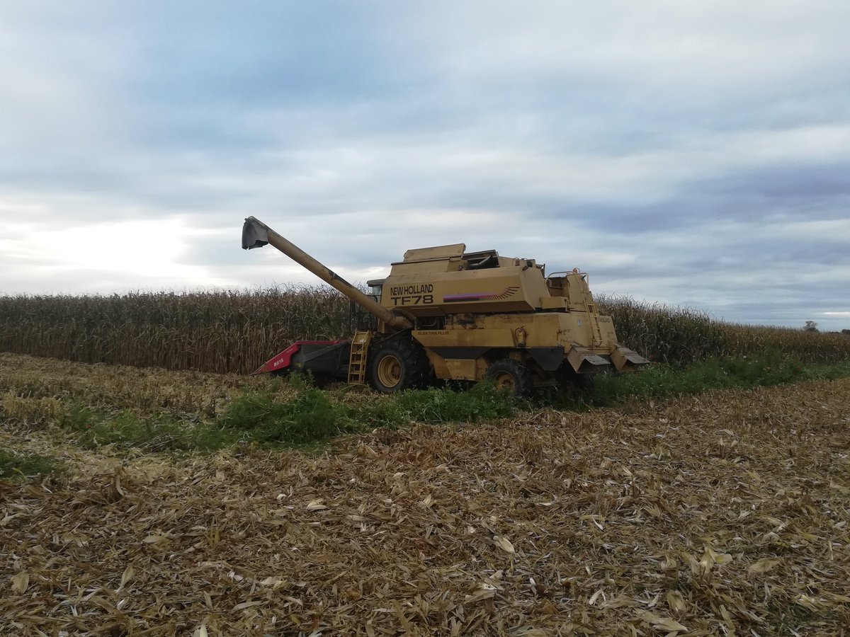 maisadour_agro's tweet image. Récolte de l'essai Perform'Maïs Aquitaine en cours. #densitedesemis #ecartementdesemis #Agrosolutions #CAC68