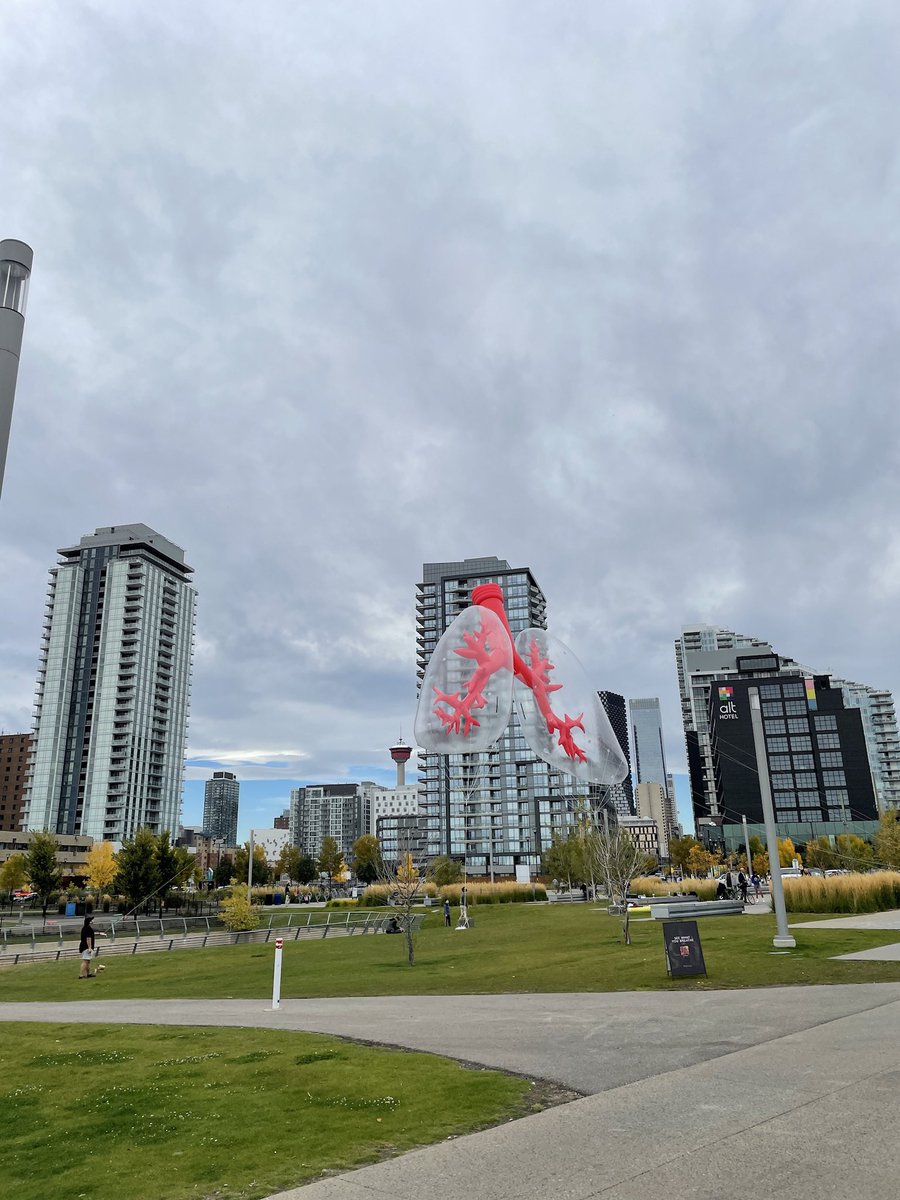 Views from this weekend. <a href="/canlung/">Cdn Lung Association</a> #lungsintheair #yyc