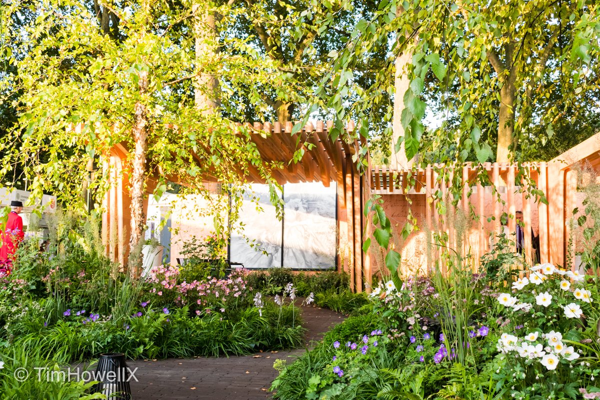 Tim Howell tweet media