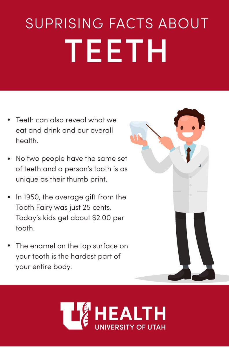PinefieldDental's tweet photo. Did you know? #ToothFact https://t.co/GAdRjMpuy0