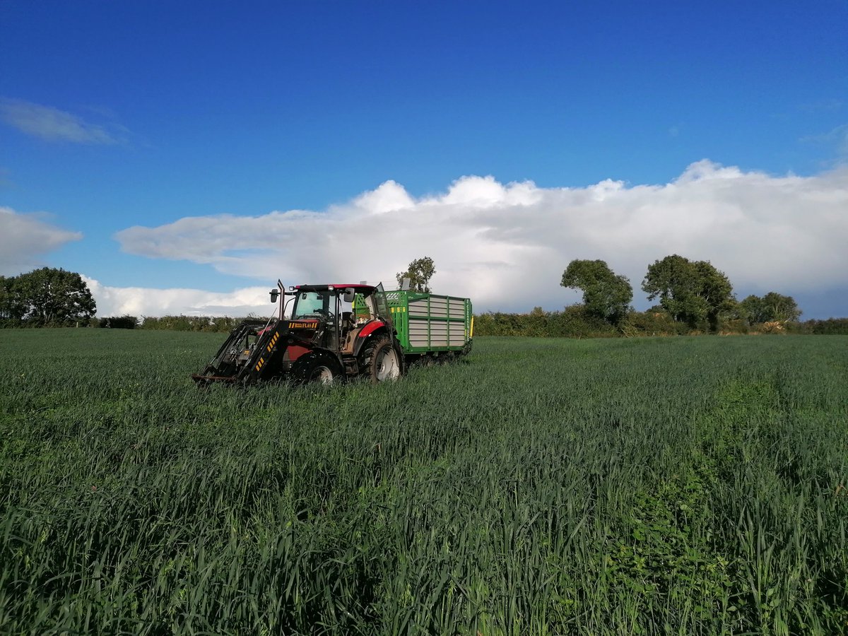 Darragh Scott tweet media