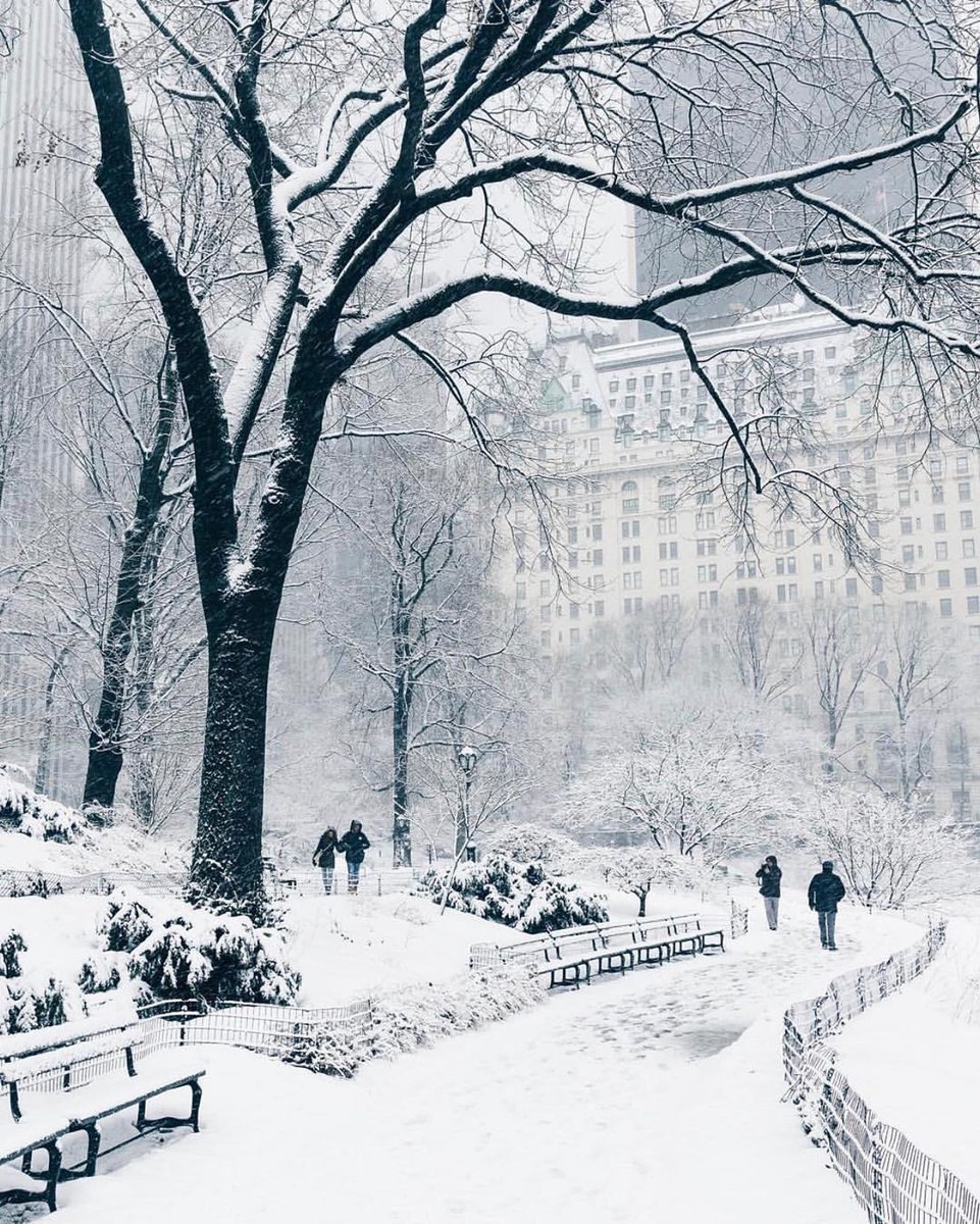Missguided's tweet photo. Dreaming of Christmas in NYC ❄️ (📸bestvacations) https://t.co/nqMdqfbOmz