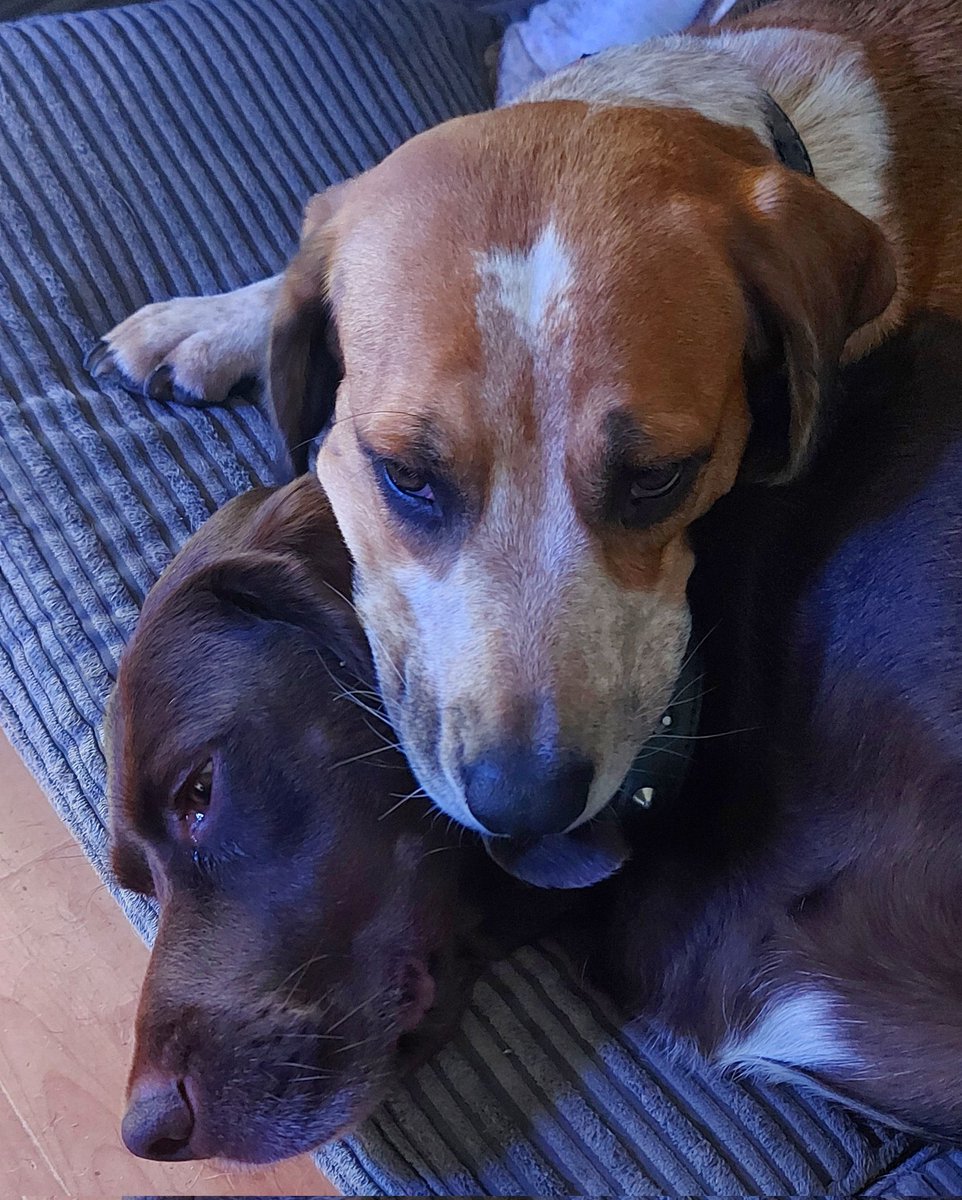 AndTorran's tweet image. 