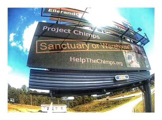 Billboard greets visitors to the HSUS facility, Project Chimps, asking the question, SANCTUARY OR WAREHOUSE? Until the chimps get daily outdoor access instead of once every 3 days, we think it’s the latter. #chimpsdeservebetter!