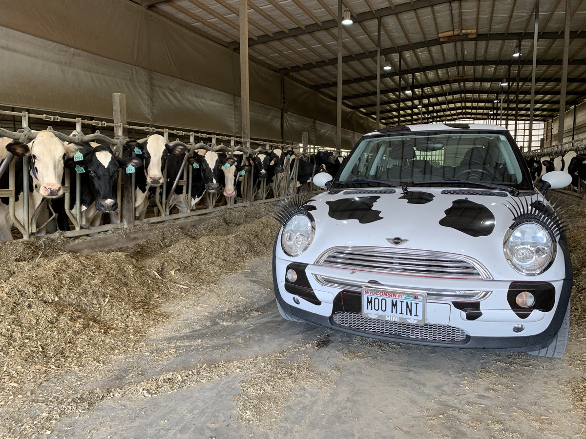 We have some exciting news...
I will be attending World Dairy Expo in Madison, WI September 28- October 2! I will be outside near the exhibition hall! Come learn about the industry, watch the shows, and visit the trade show. I cannot wait to celebrate this instrumental industry!