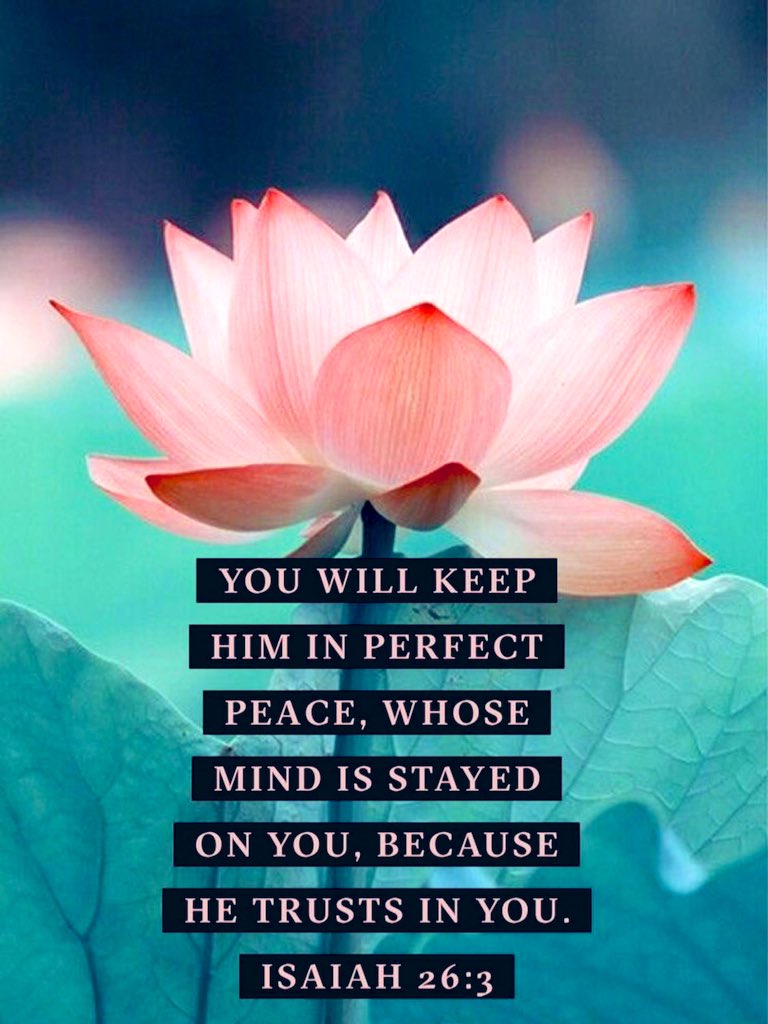 sprec61551's tweet photo. Isaiah 26:3 
Thou wilt keep him in perfect peace, whose mind is stayed on Thee: because he trusteth in Thee. https://t.co/Zof6uLsLjk