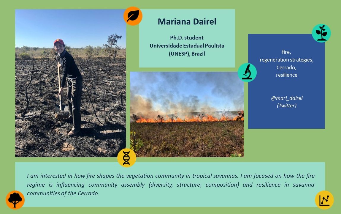IavsYoung's tweet photo. We are back #youngvegscientist! Our guest today is @mari_dairel. She was awarded the best poster presentation during the #IAVS2021. Congratulations!
#fireecology #ecology  #tropicalsavanna #Cerrado #WomenInSTEM https://t.co/DIqrWeJUZ8