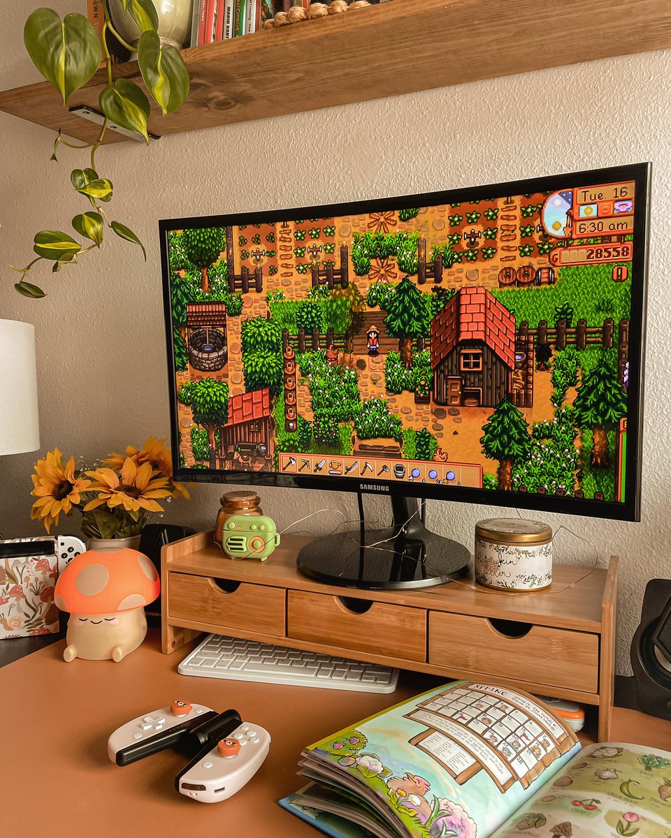 Hope you have a great week! #nintendo #nintendoswitch #StardewValley #stardew #sdv