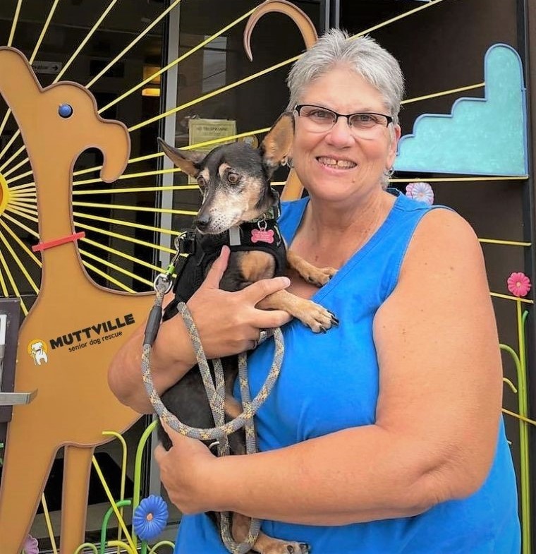 Roxann came all the way from Sacramento County to #adopt sweet #Dachshund mix, Allie! 💕 Roxann loved Allie’s pretty eyes and epic ears! Roxann will be spoiling Allie with lots of gentle walks and love all day long. 🤗 Thank you for adopting a #seniordog, Roxann! 👍🎉
