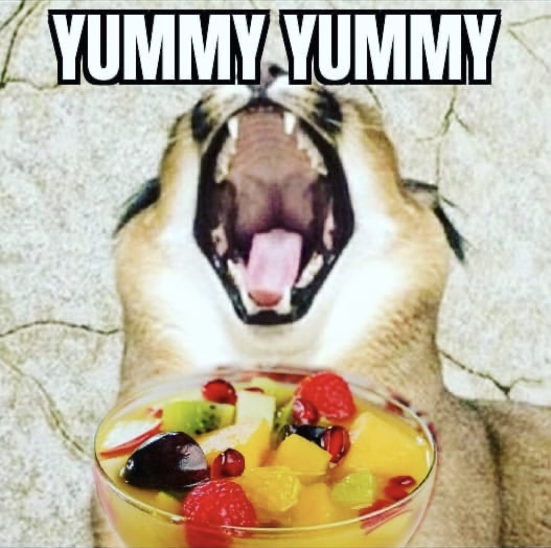 Floppa Gaming tweet media