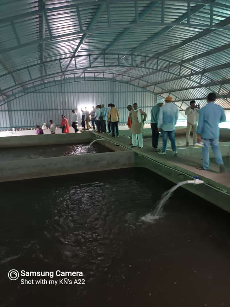FDepar2's tweet photo. Delegation of Directors of 10 FPOs of eastern UP and NABARD team visited RAS and fish pond with the support of Namami Gange Krishak Utpadan Sangthan. Shri Amitabh Kant, CEO of Niti Ayog was highly impressed by the such development of aqua sector in UP.
#upfisheries https://t.co/ES3xtt5KHl