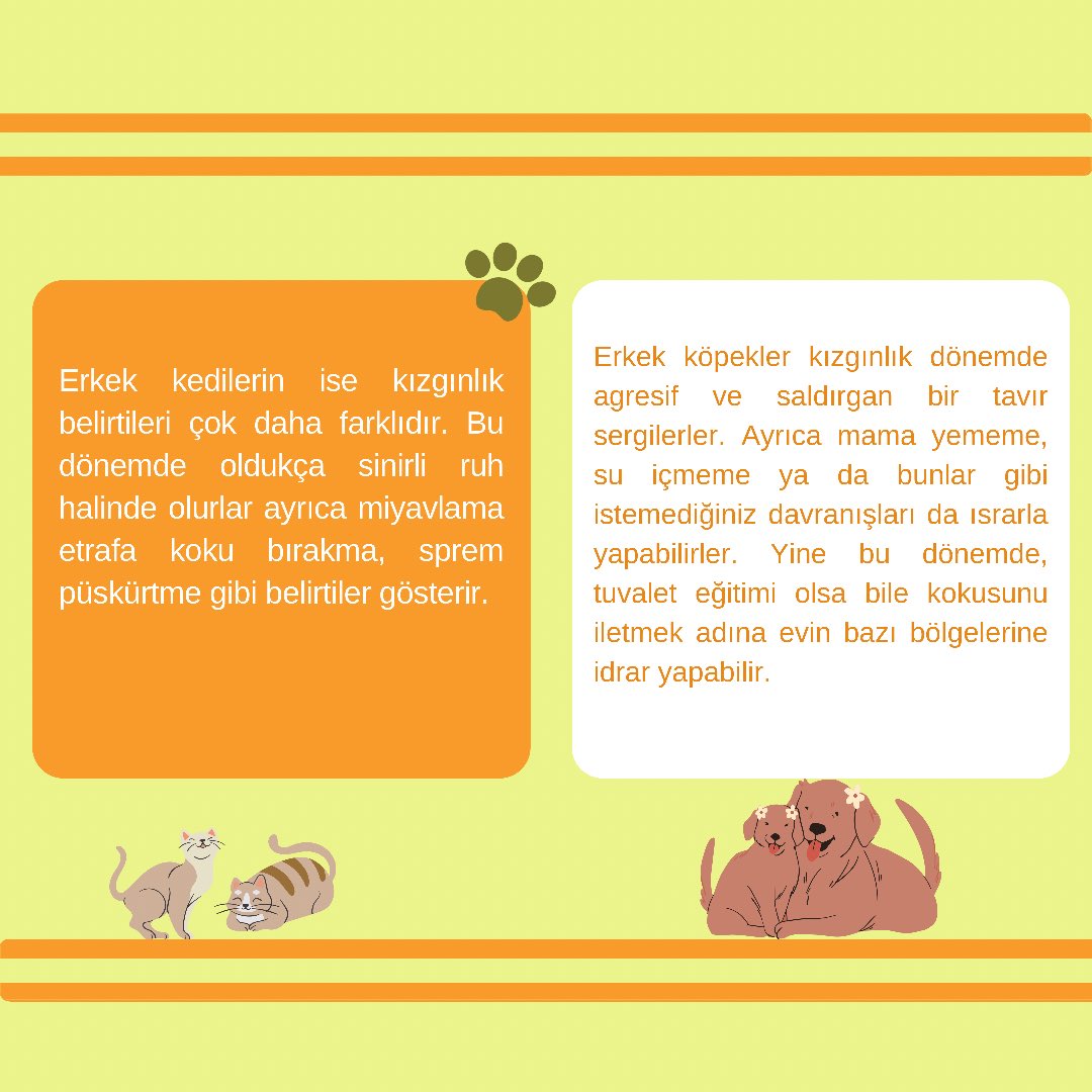 gencvetiz's tweet photo. Evcil Dostlarımız Hakkında Merak Edilenler Serimizin bu hafta ki konusu “Kedi ve Köpeklerde Kızgınlık” ✨ #kedi #köpek #veteriner #hekim #veterinerlik #evcilhayvan #evcildost #gencvetiz https://t.co/dNaGWVZtHl