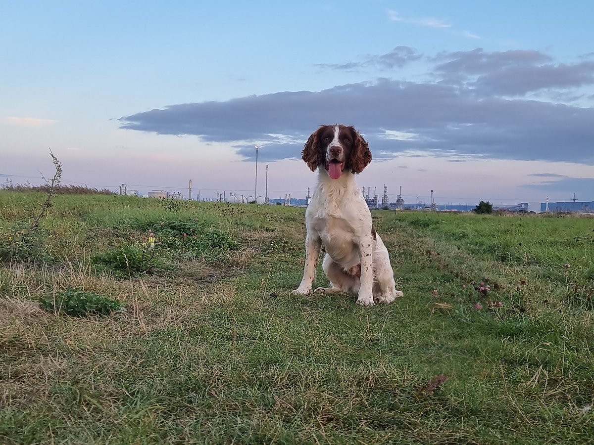 #TPDRatana #Poser🤣