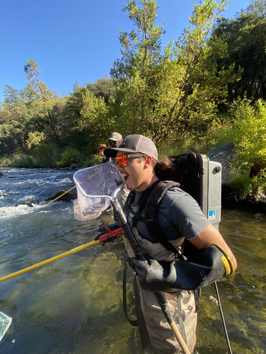 I had so much fun at work last week on the Feather River. We spent 3 days electrofishing and conducting snorkel surveys to assess the fish populations. #womeninfisheries #WomenInSTEM #fish