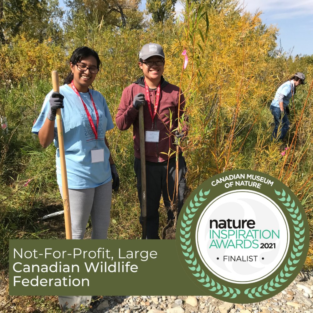 MuseumofNature's tweet photo. Congratulations to the finalists for the Not for Profit (L) #NatureAward, sponsored by @POLARCanada: @CWF_FCF, @NiagaraParks, @RBGCanada, and @mssnzero. Meet them and learn about their inspiring projects: https://t.co/kTw89x50JL 📷 L.Ehler ,©M.Zelinski, Sheridan College https://t.co/7FobWvqpWT