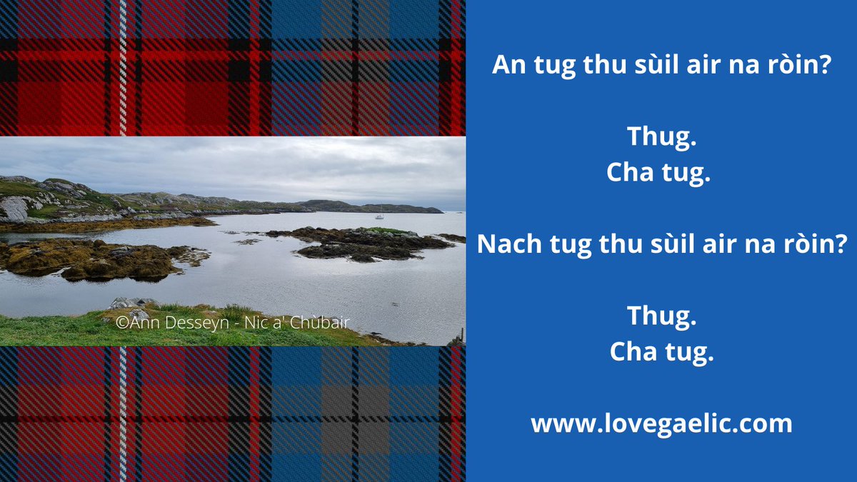 LoveGaelic's tweet photo. Dèan seantans leis a' ghnìomhair seo. #lovegaelic #lovegàidhlig #learngaelic #Gàidhlig  #distancelearning https://t.co/qhXkP2q9qa