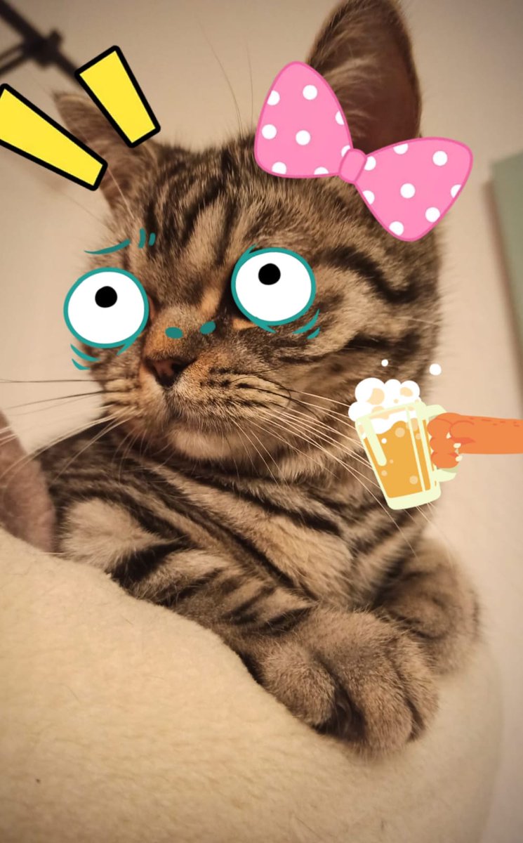 YarukaKiryu's tweet photo. https://t.co/TkujTecfpU
