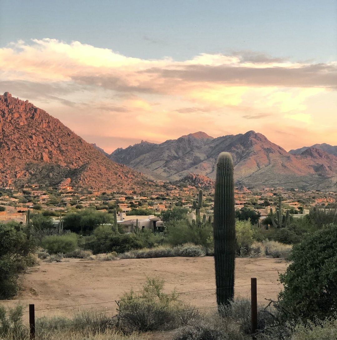 ShopHCcom's tweet photo. Scottsdale, AZ 

Greater Phoenix population: 4.95 million

Patient needed a kyphoplasty. 

Banner Health Hospital: $26,441
Honor Health Hospital: $24,918

Independent interventional pain practice: $9,500.

#price #transparency
#health #care 
#employer #d2c https://t.co/jYGepYTUPm