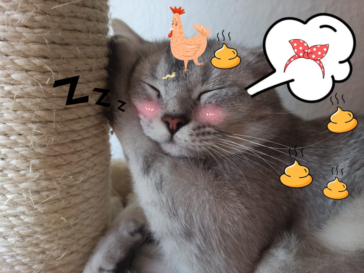 YarukaKiryu's tweet photo. https://t.co/TkujTecfpU