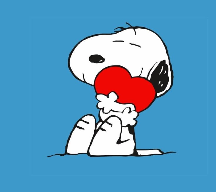 Choi 수빈 tweet media