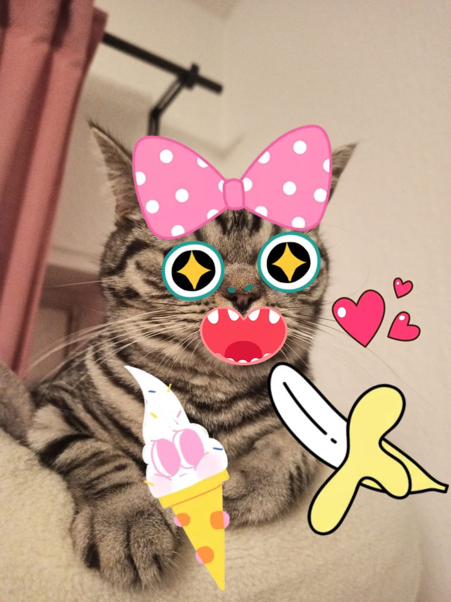 YarukaKiryu's tweet photo. https://t.co/XxwTVmbb2e