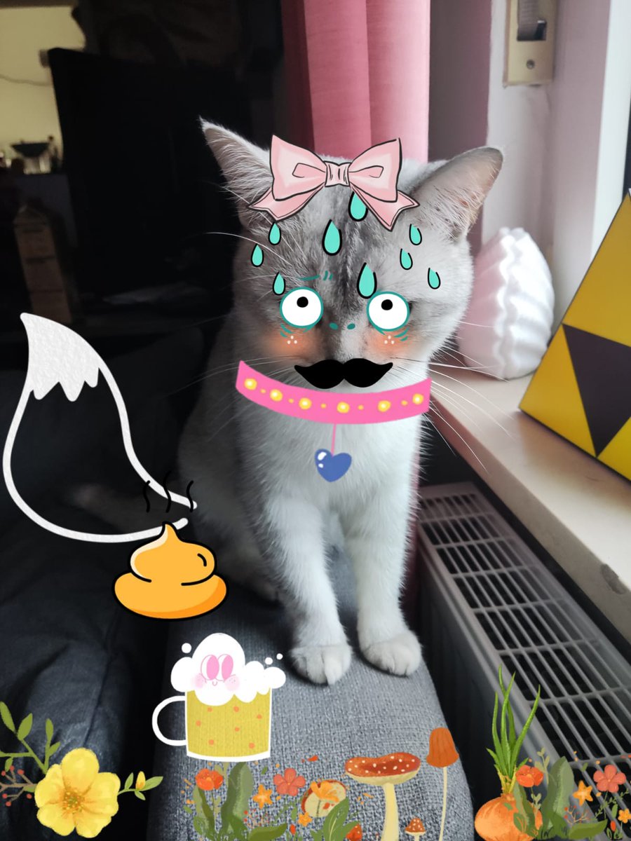 YarukaKiryu's tweet photo. Viel Spaß mit meinen Katzen :D https://t.co/TDmcOVISYW
