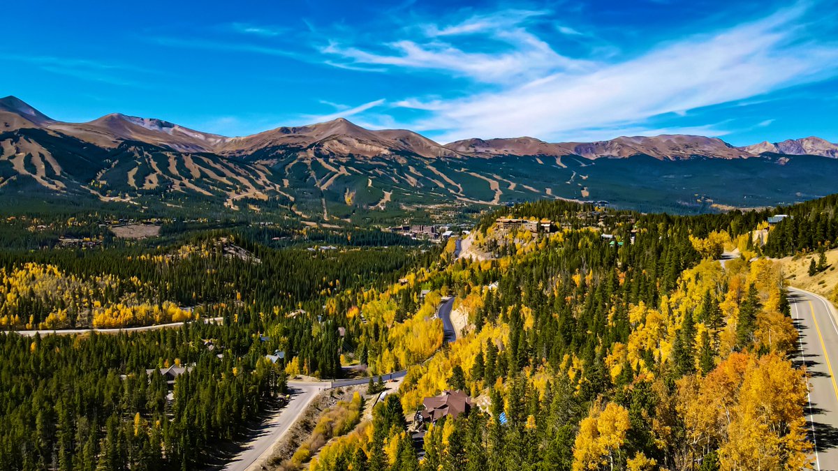 BBWolfephotos's tweet image. I’m all about nature #lookoutpoisonivy #aspentree #colorado #bbwolfephotography