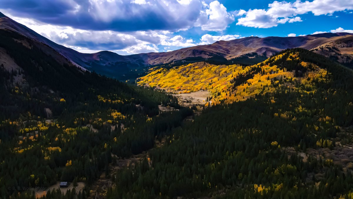 BBWolfephotos's tweet image. I’m all about nature #lookoutpoisonivy #aspentree #colorado #bbwolfephotography