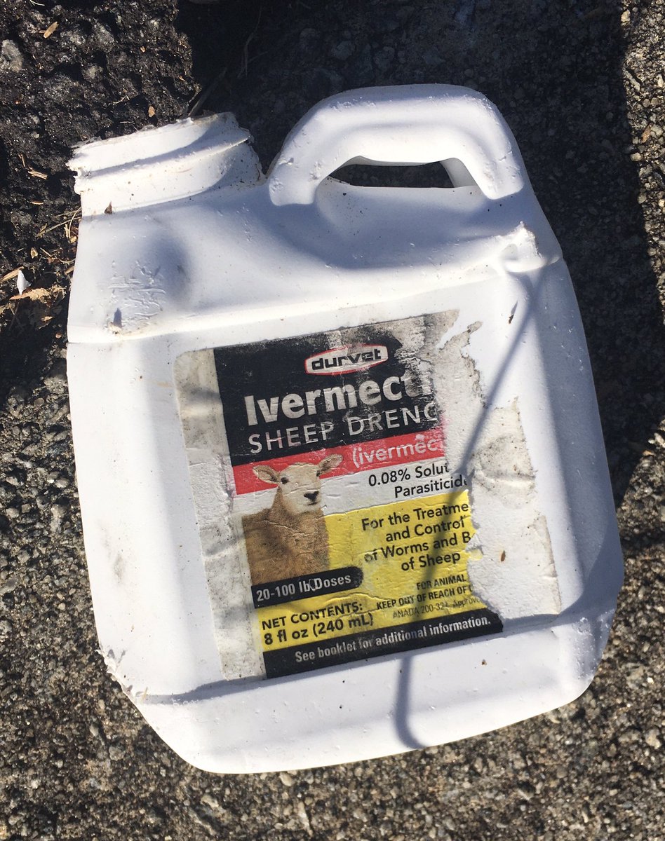 KevsAmorim's tweet photo. “Not many sheep or horses on my block.” A friend in the South saw this in the street this morning. https://t.co/68a9ZxS9IK