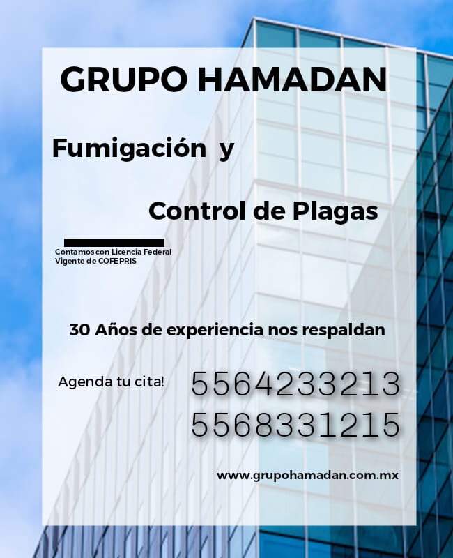 HamadanCv's tweet image. #fumigacion #desratizacion #desinfeccion #sanitizacion #eliminacucarachas #eliminachinches #controlderatas #eliminaalacranes #cucarachas #chinches #plagasrastreras #eliminaplaga #ControlDePlaga  #arañas #hormigas #alacranes #grupohamadan #empresafumigadora #cucaracha #rata #raton
