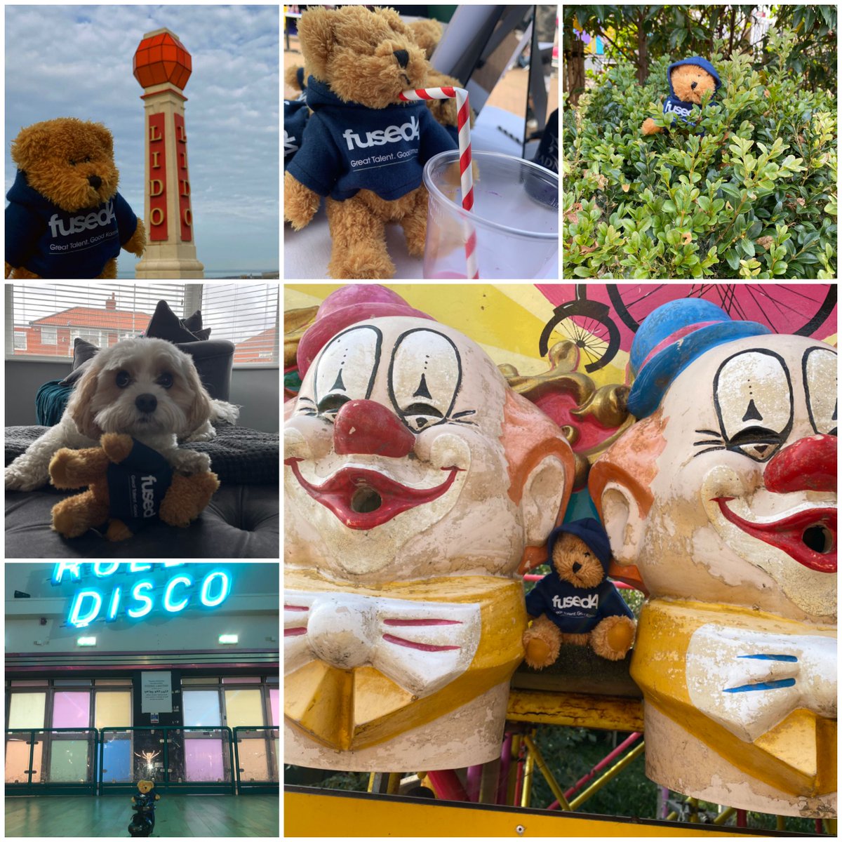 TalentKarma's tweet photo. #RecFestTed was very popular at #RecFest21 and has made it as far as Sweden and Belfast!! The competition for best Ted pic is heating up - some examples below. Still a few days to submit before we announce the winner!! https://t.co/8wq2BxmYt5