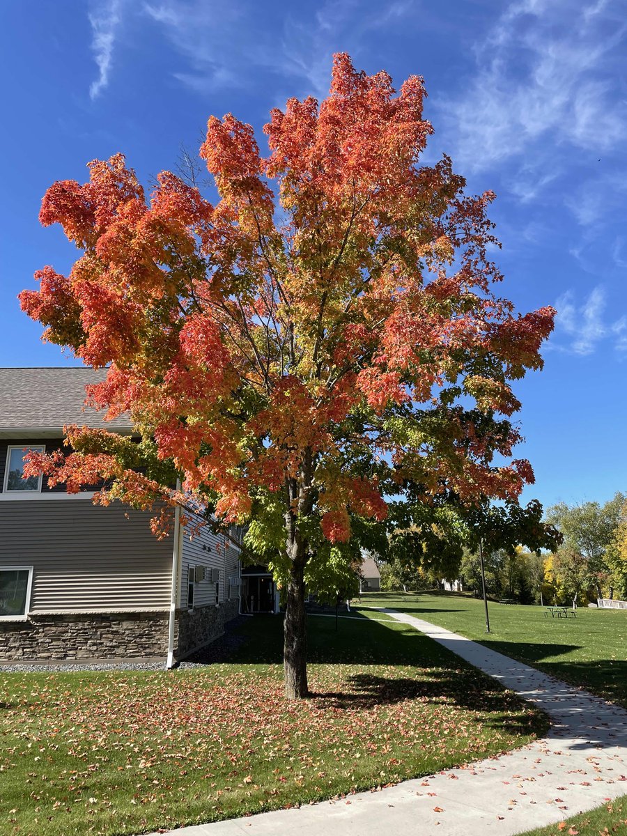 May your week be blessed and filled with peace and joy!