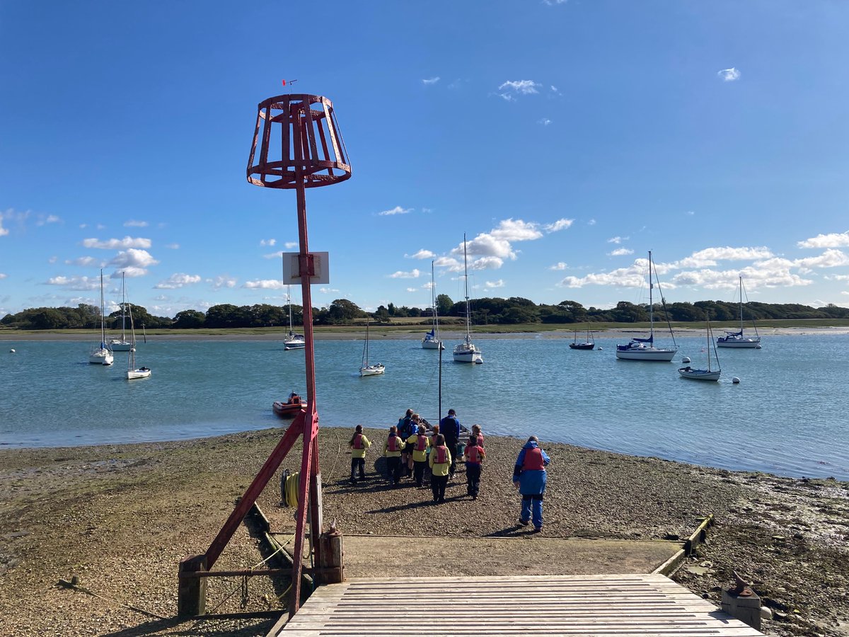 Bosham Primary School tweet media