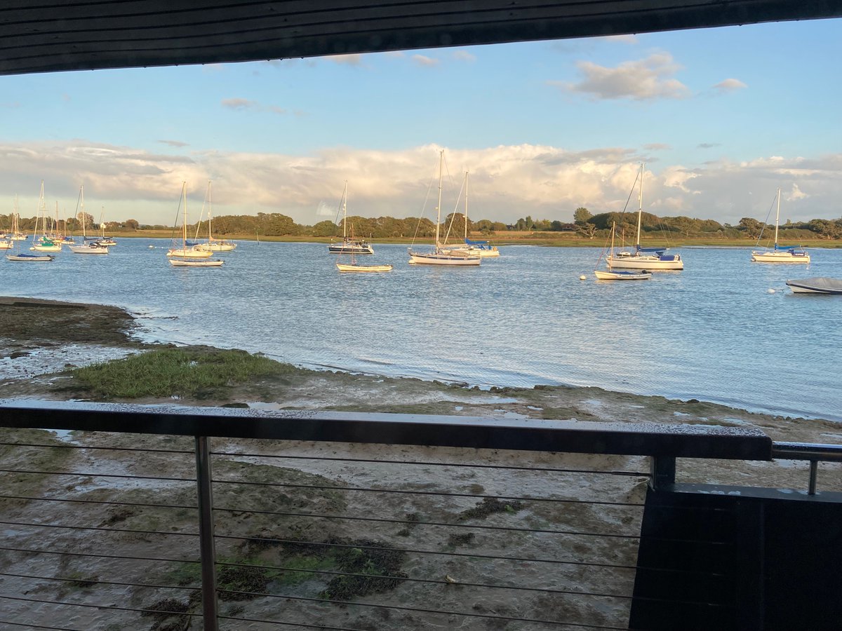 Bosham Primary School tweet media