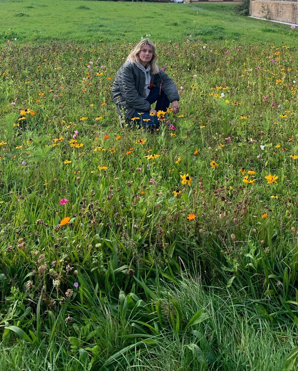 wolfalicemusic's tweet photo. Swansea for the first time tonight I fucking love the sea, the salty breeze is giving me that natural windswept look as I roam around this city looking for some fish and chips xxx 7:30 tonight at @SinCitySwansea for Kevin 8:30 wolf alice xxx https://t.co/ihkAF9n07v