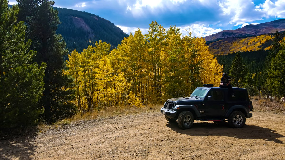 BBWolfephotos's tweet image. Not all those who wander are lost, but I sure as fuck am #bbwolfephotography #aspentree #photography #nature