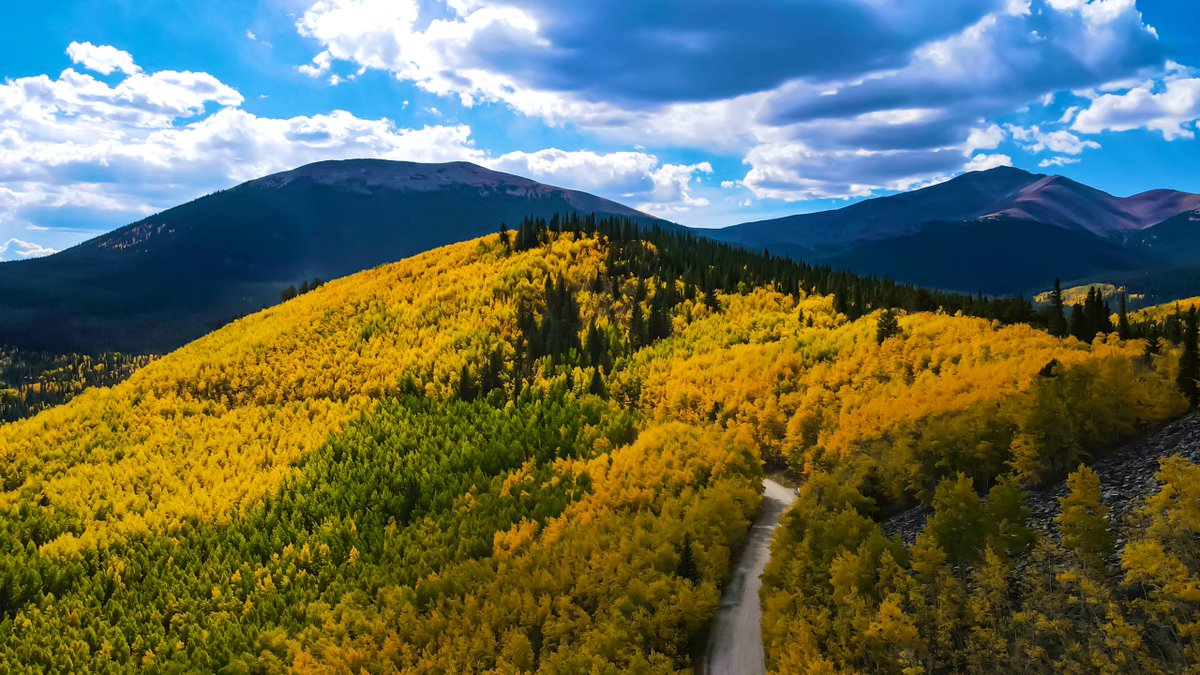 BBWolfephotos's tweet image. Not all those who wander are lost, but I sure as fuck am #bbwolfephotography #aspentree #photography #nature