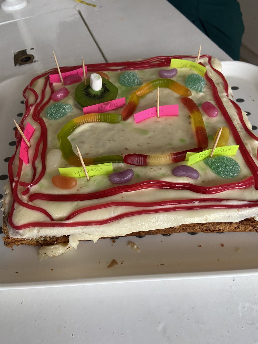TeachMeAgri's tweet image. It’s that time of year again #cellmodels #jcscience