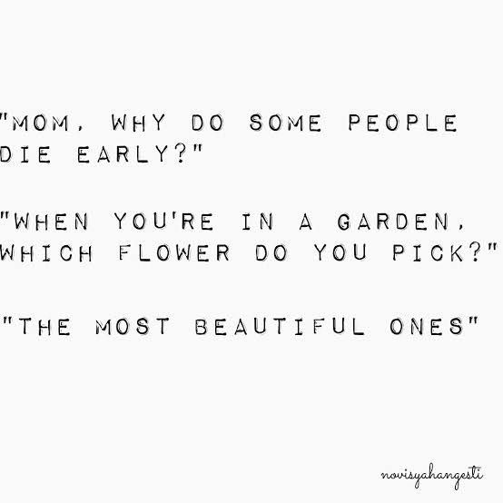 𐙚 𝘺𝘦𝘯𝘭𝘪 🪽𑁤 tweet media