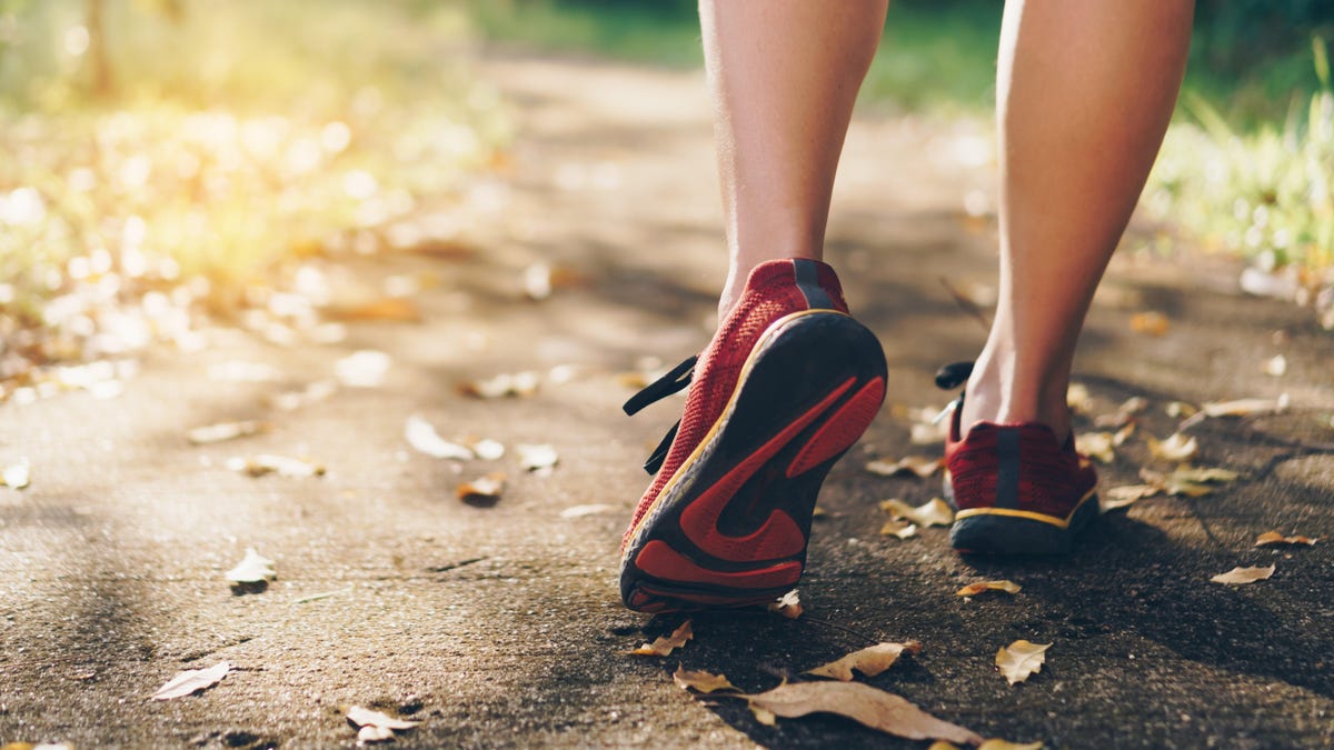 lifehacker's tweet photo. How to Run Slower to Run Faster https://t.co/V3HsC3WYBO https://t.co/6Ln3ZxCJ1P