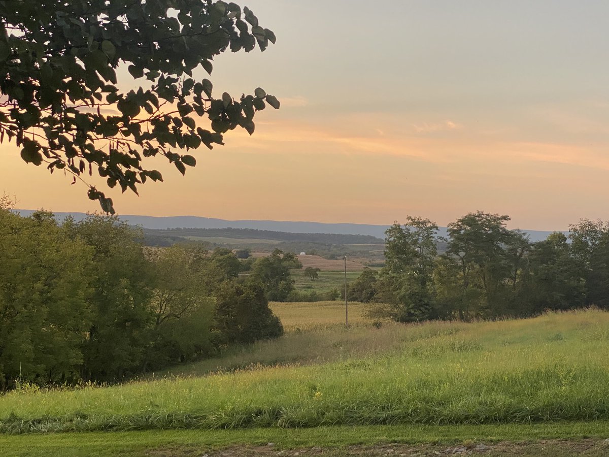 nathanking tweet media